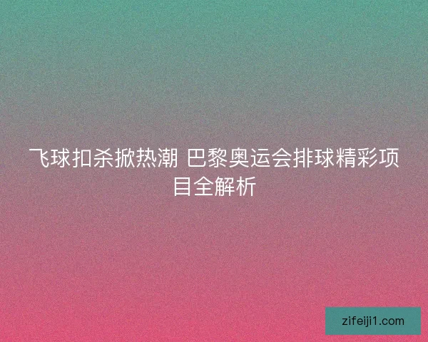 飞球扣杀掀热潮 巴黎奥运会排球精彩项目全解析